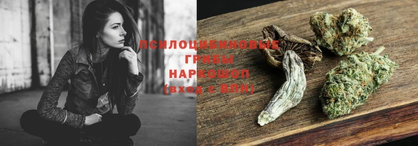 гашик Арсеньев