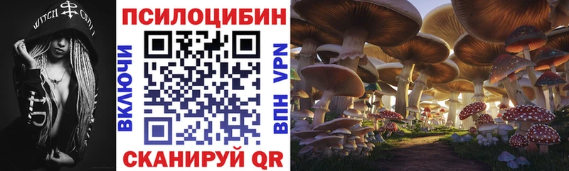 наркотики  Агидель  Галлюциногенные грибы MAGIC MUSHROOMS 